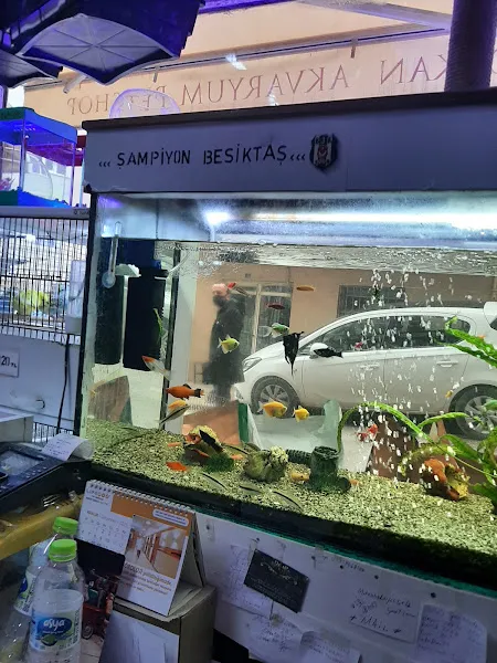 Özkan Akvaryum foto 2