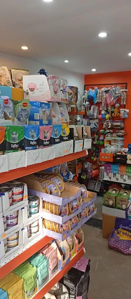 GÜNEŞ PETSHOP foto 2
