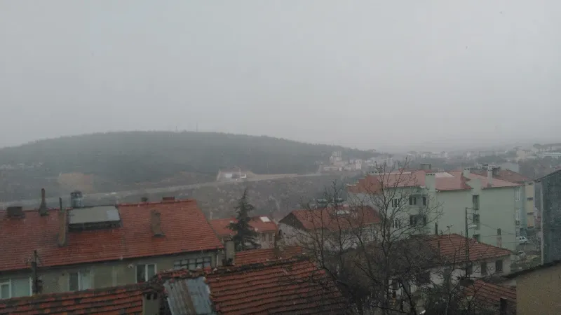 Açıkgözler Av Bayii foto 2