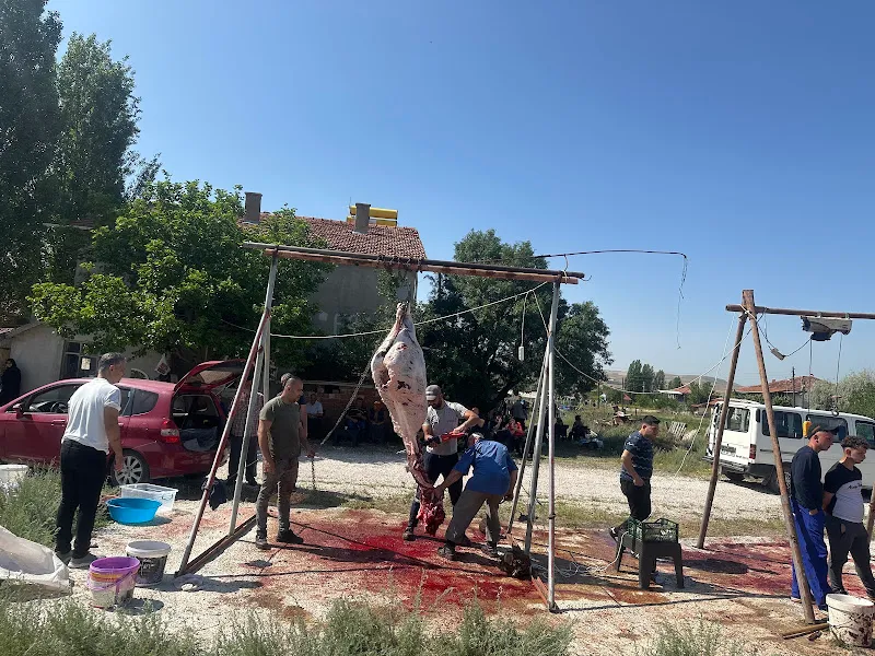 Doğan HAYVANCILIK foto 2