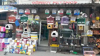 GÜRSOY PET SHOP