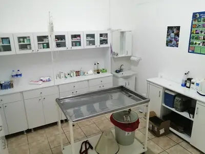 Şimşek Veteriner Kliniği