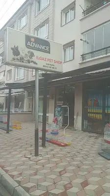 Ilgaz Petshop