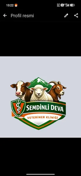 ŞEMDİNLİ DEVA VETERİNER KLİNİĞİ foto 2