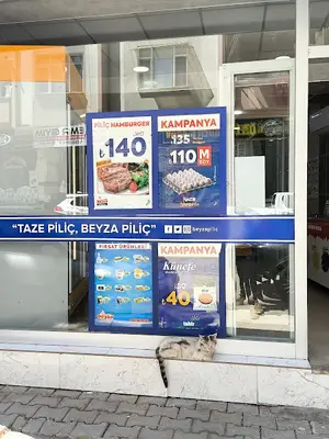 BEYZA PİLİÇ