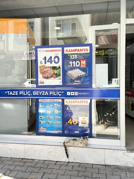 BEYZA PİLİÇ foto 2