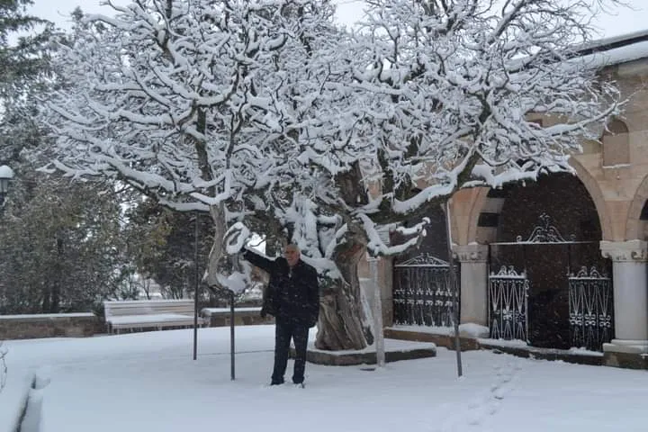 kurbanlık serdar foto 2