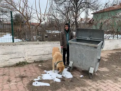 Balışeyh Halk Eğitim Merkezi