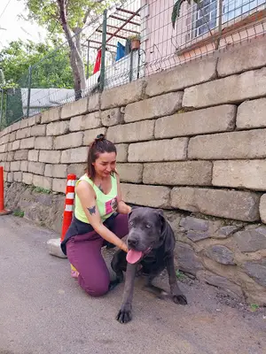 Robin Hood Pet Bakım Evi, Kedi Köpek Oteli, Pet Nakil, 7/24 Veteriner