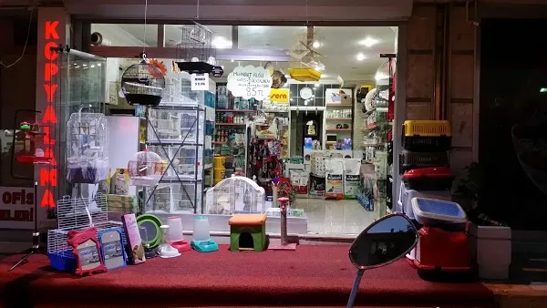 Hobi Akvaryum foto 1