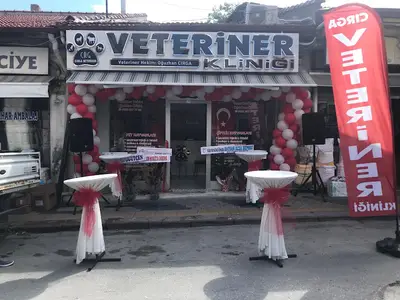 Frigya Veteriner Kliniği