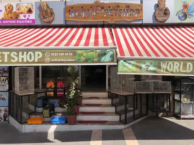 Pati'ş Petshop