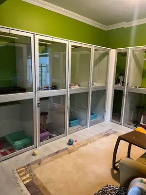 Üsküdar Maviş Kedi Bakım Evi