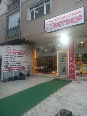 Sincan pet kuaförü kedi tıraşı