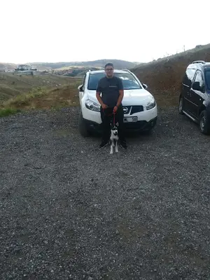 Alex köpek oteli