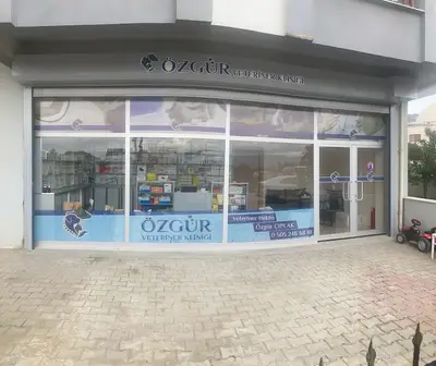 Özel bayvet veterinerlik hizmetleri