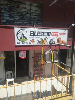 Asyam pet evcil hayvan ürünleri