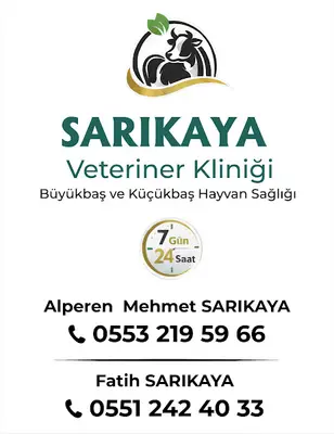 Sarıkaya Veteriner Kliniği