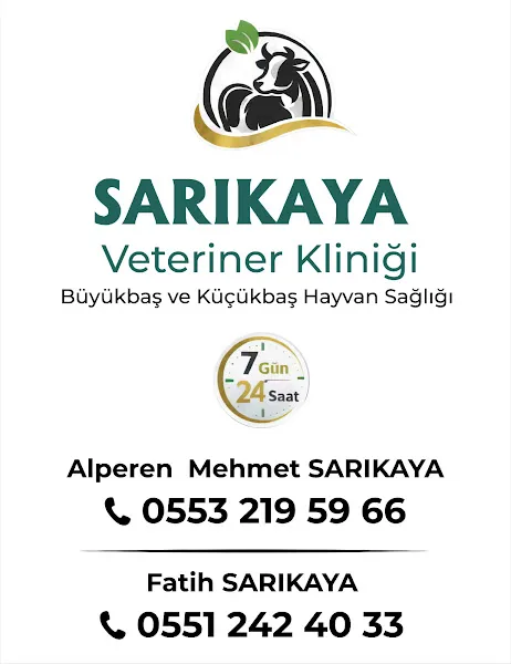 Sarıkaya Veteriner Kliniği foto 1