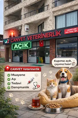 KİRAZ CANVET VETERİNERLİK
