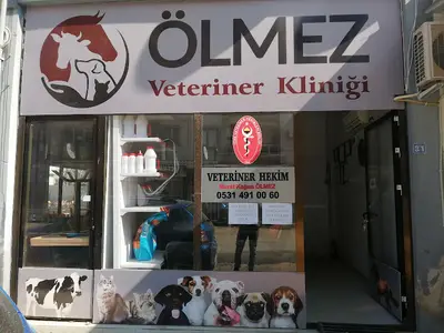 Veteriner Hekim A. Mutlu Özdoǧan