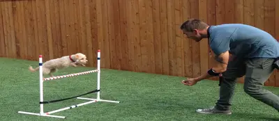 Fırat Köpek Eğitim
