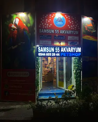 Bulvar Akvaryum Petshop