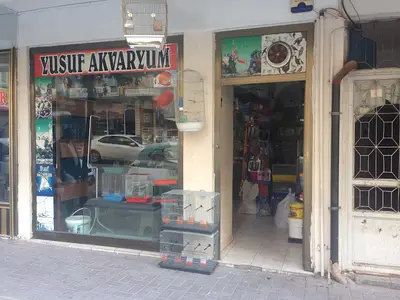 Merve Kanarya Akvaryum