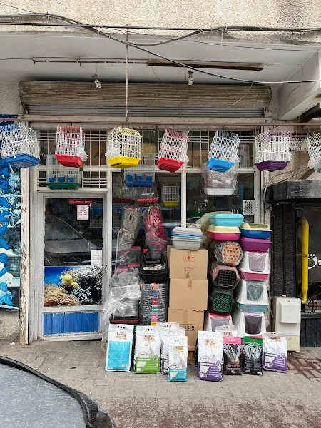 Merve Kanarya Akvaryum foto 2