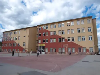 Köpek sarmaci