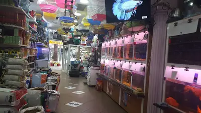 çiftlik akvaryum