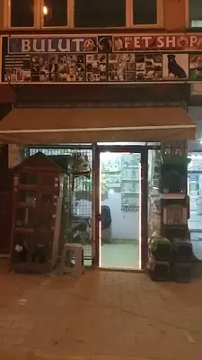 Kuşçu'nun Muhiti