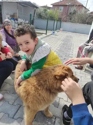 Metropolis Veteriner Kliniği
