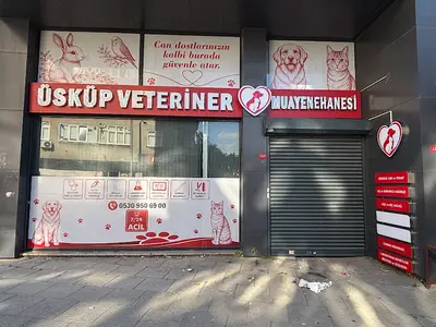 Bağcılar 7/24 Acil Veteriner Üsküp Veteriner Kliniği Güneşli 7/24 Acil Veteriner