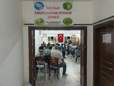 İscehisar kanatlı hayvan severler derneği