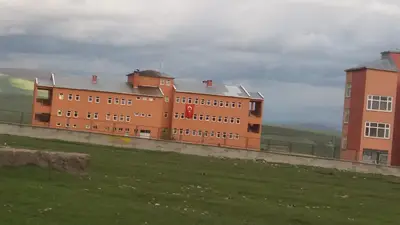 Damal Hayvan Pazarı