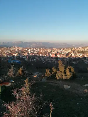 Karaçot hayvancılık