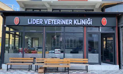 Lider Veteriner Kliniği