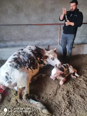 Alpu Veteriner Kliniği