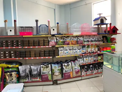 YBOpetshop