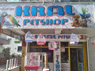KRAL PETSHOP