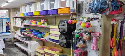 Ahmet Can petshop