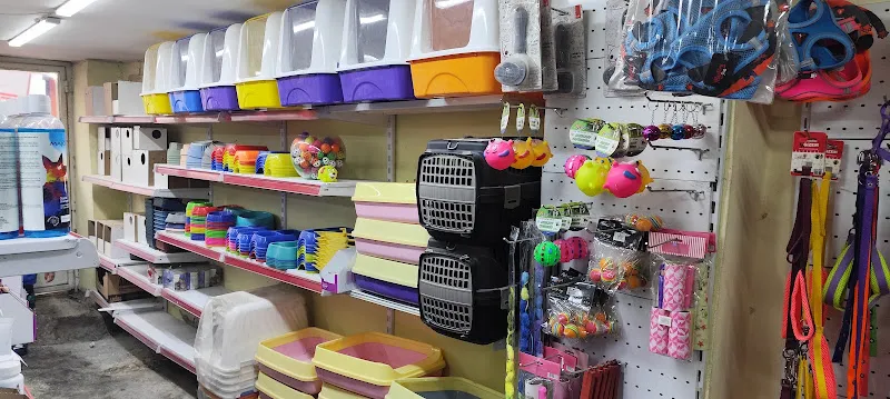 Ahmet Can petshop foto 1