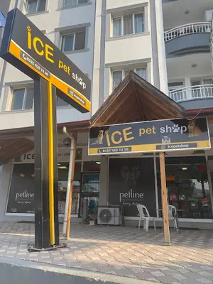 Ezel Çiçek Evi Petshop