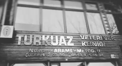 Taş Bilvet Veteriner Kliniği