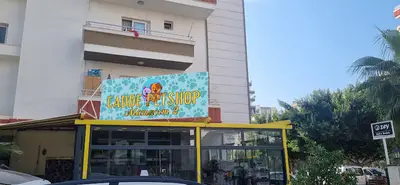 cadde pet shop