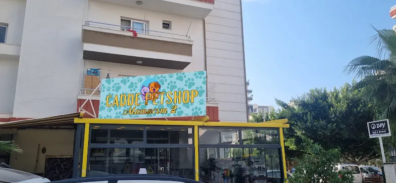 cadde pet shop foto 1