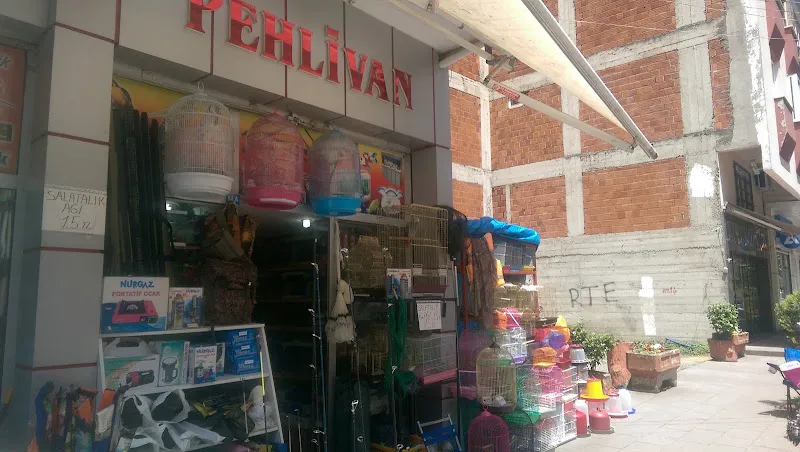 harleyin kuyruğu foto 2