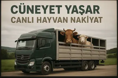 CÜNEYT YAŞAR CANLI HAYVAN NAKLİYAT