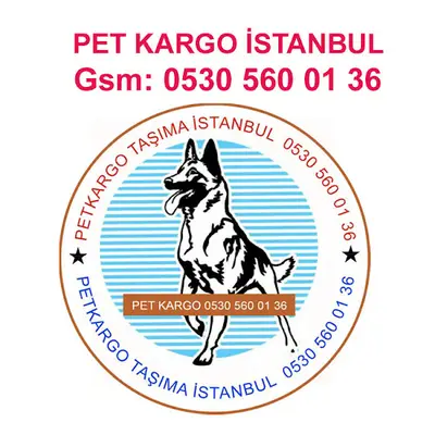 musa pet kargo istanbul